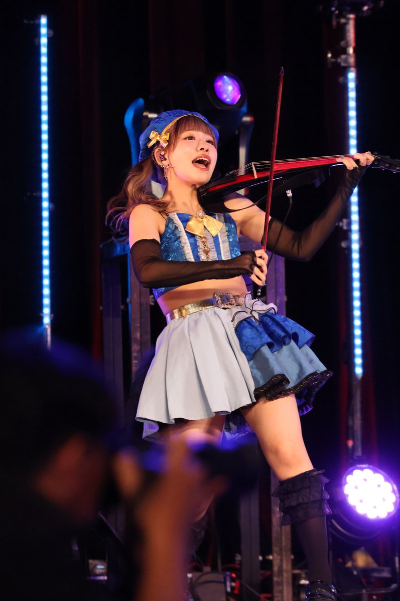 まかろん（なうやしの家の猫） tweet media