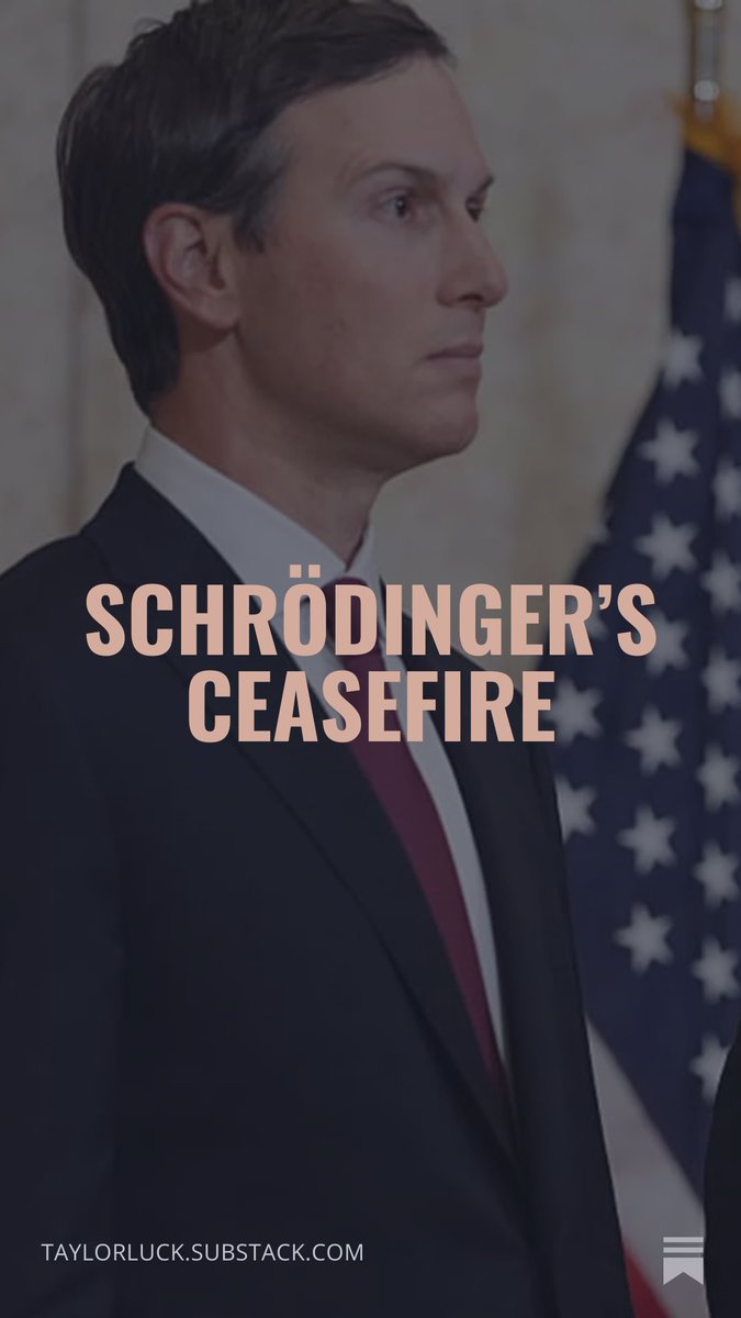 Taylor Luck يوسف لاك tweet media