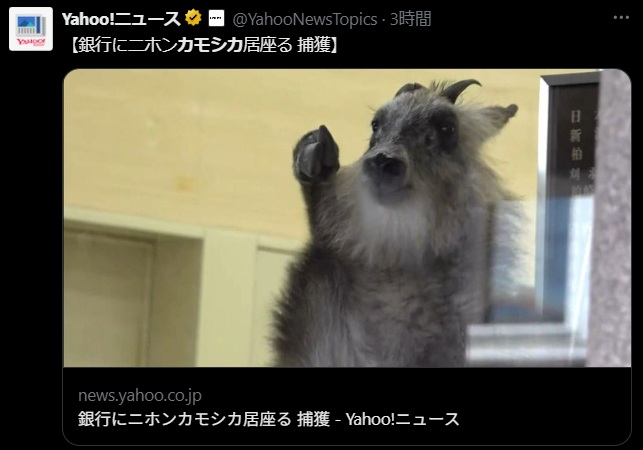 えーかー tweet media