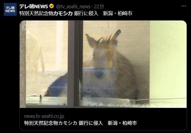 えーかー tweet media