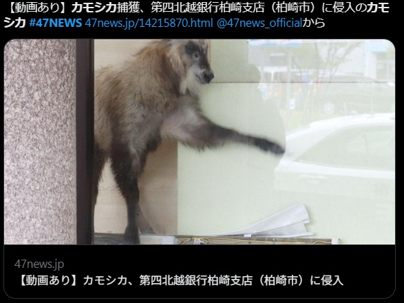 えーかー tweet media