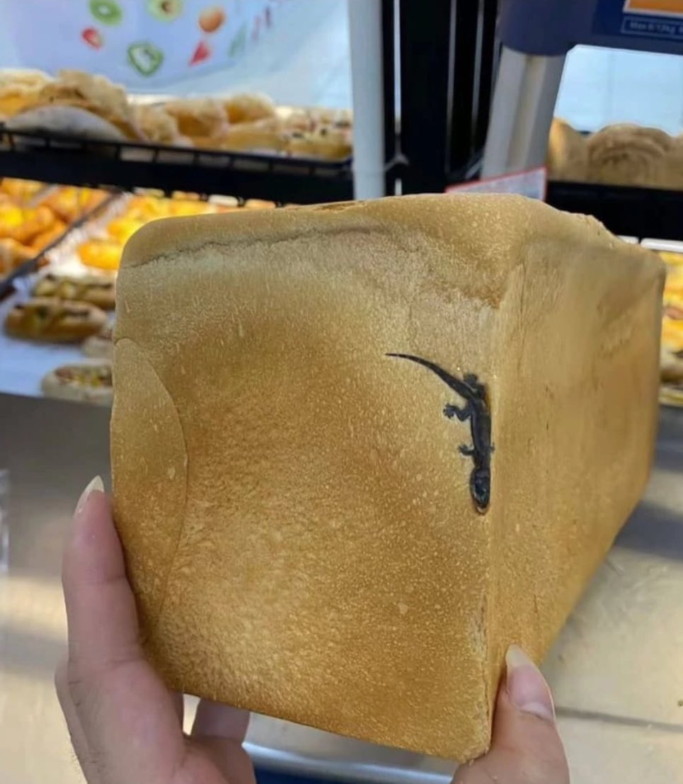 Faux Tête  🇨🇩 tweet media