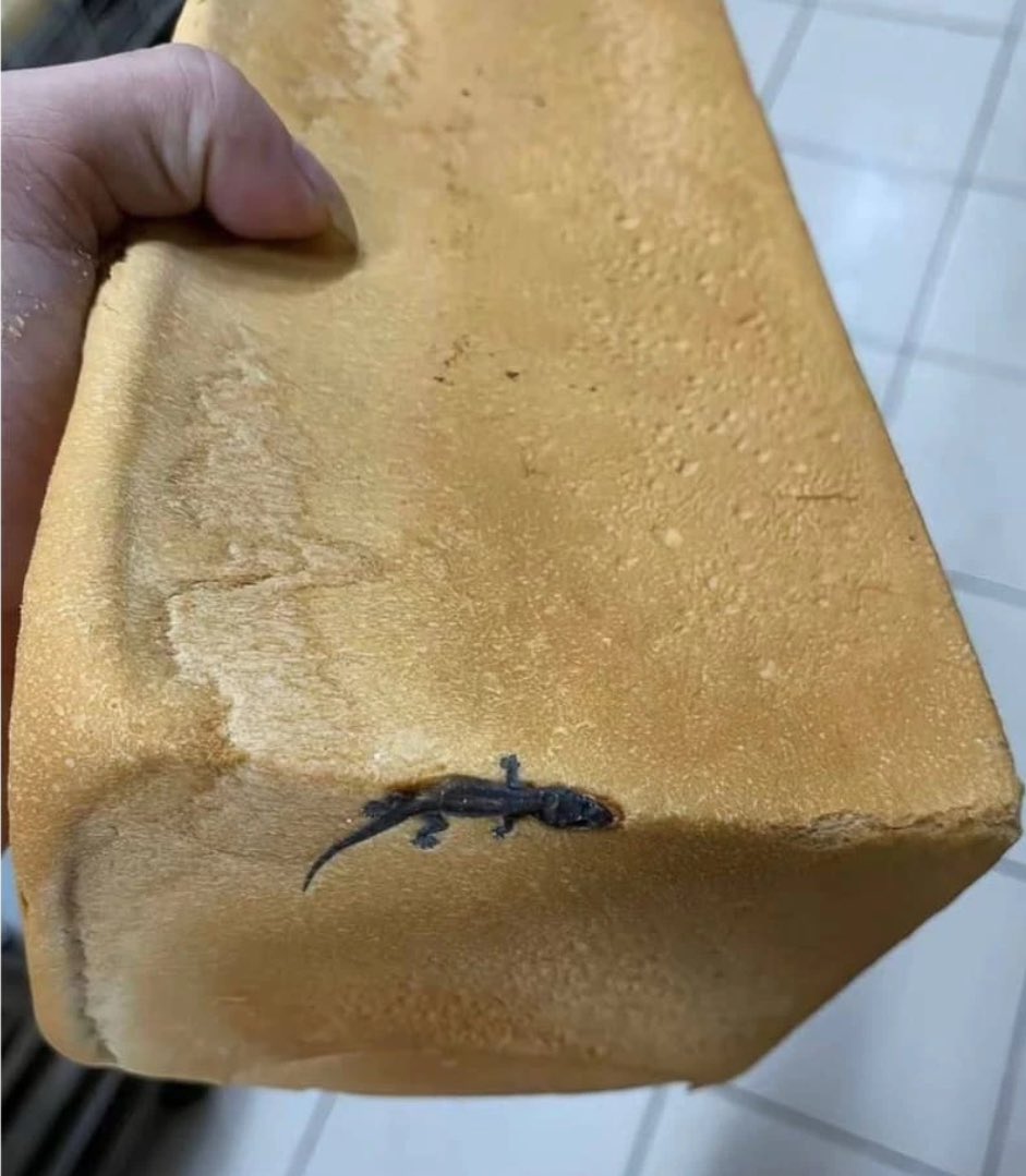 Faux Tête  🇨🇩 tweet media