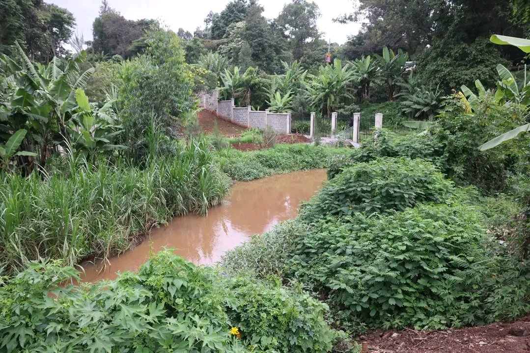 Ignatius tweet media