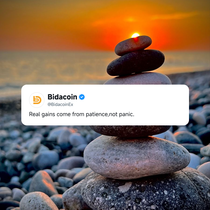 Bidacoin tweet media