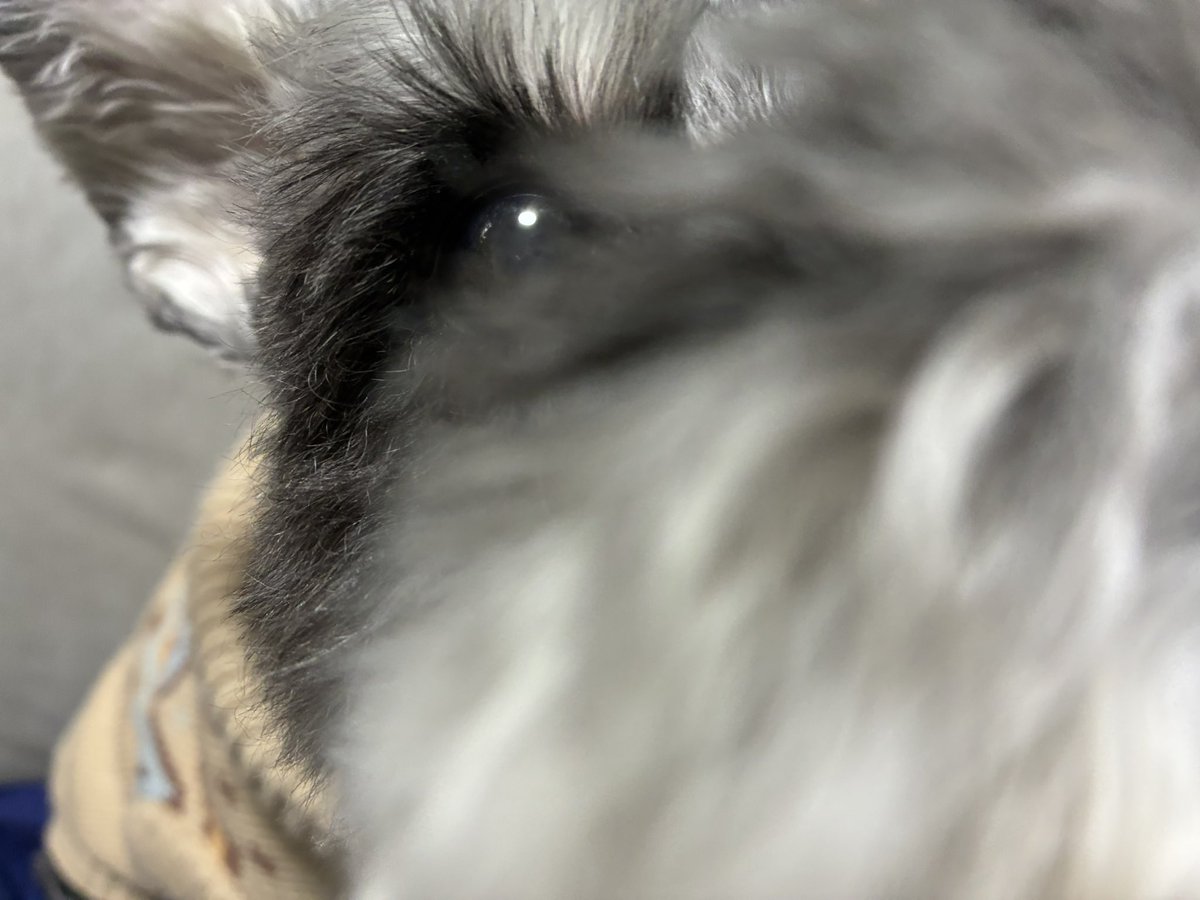 同志 V（Vast25） tweet media