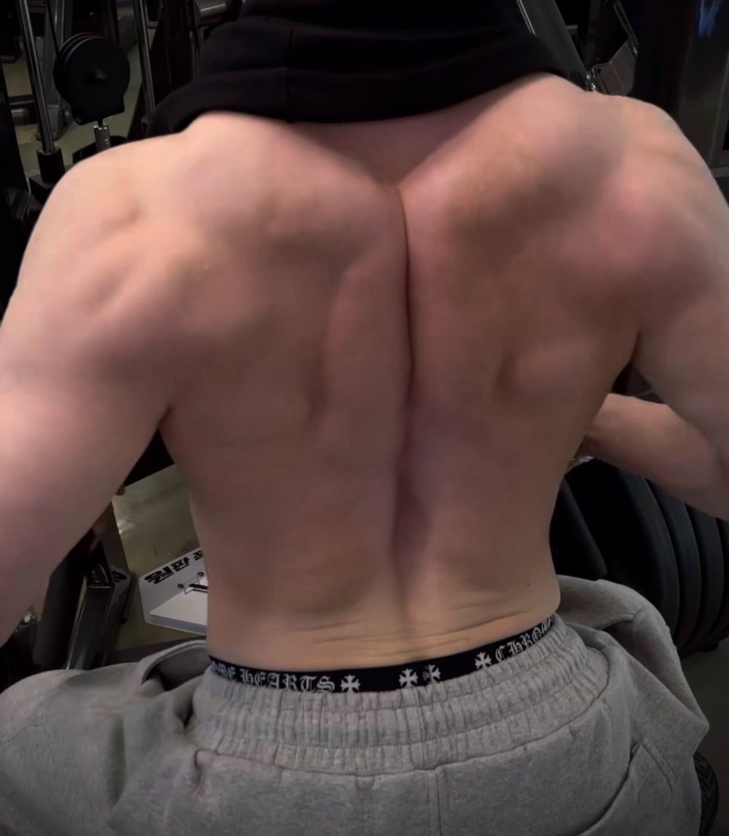 lanie⋆⭒˚.⋆ tweet media