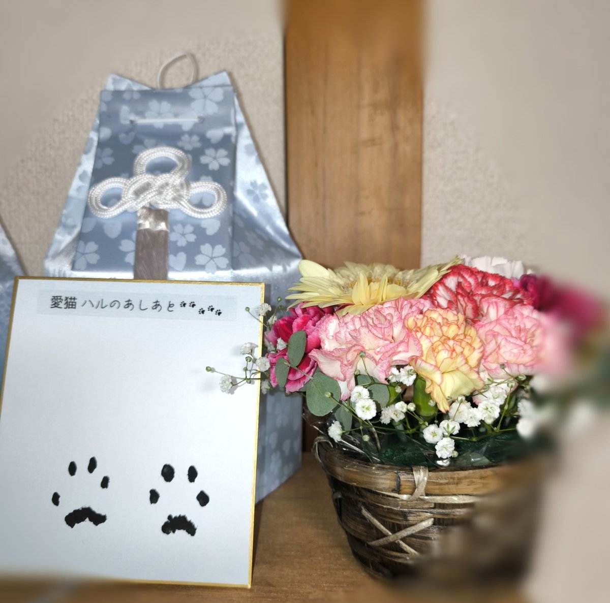 猫香 = ねこ(腐) tweet media