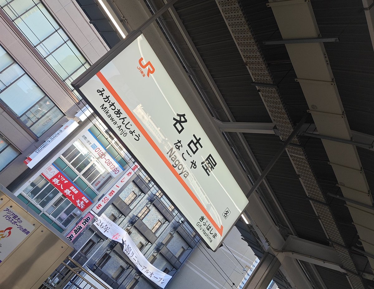 天音ぼく💫 tweet media