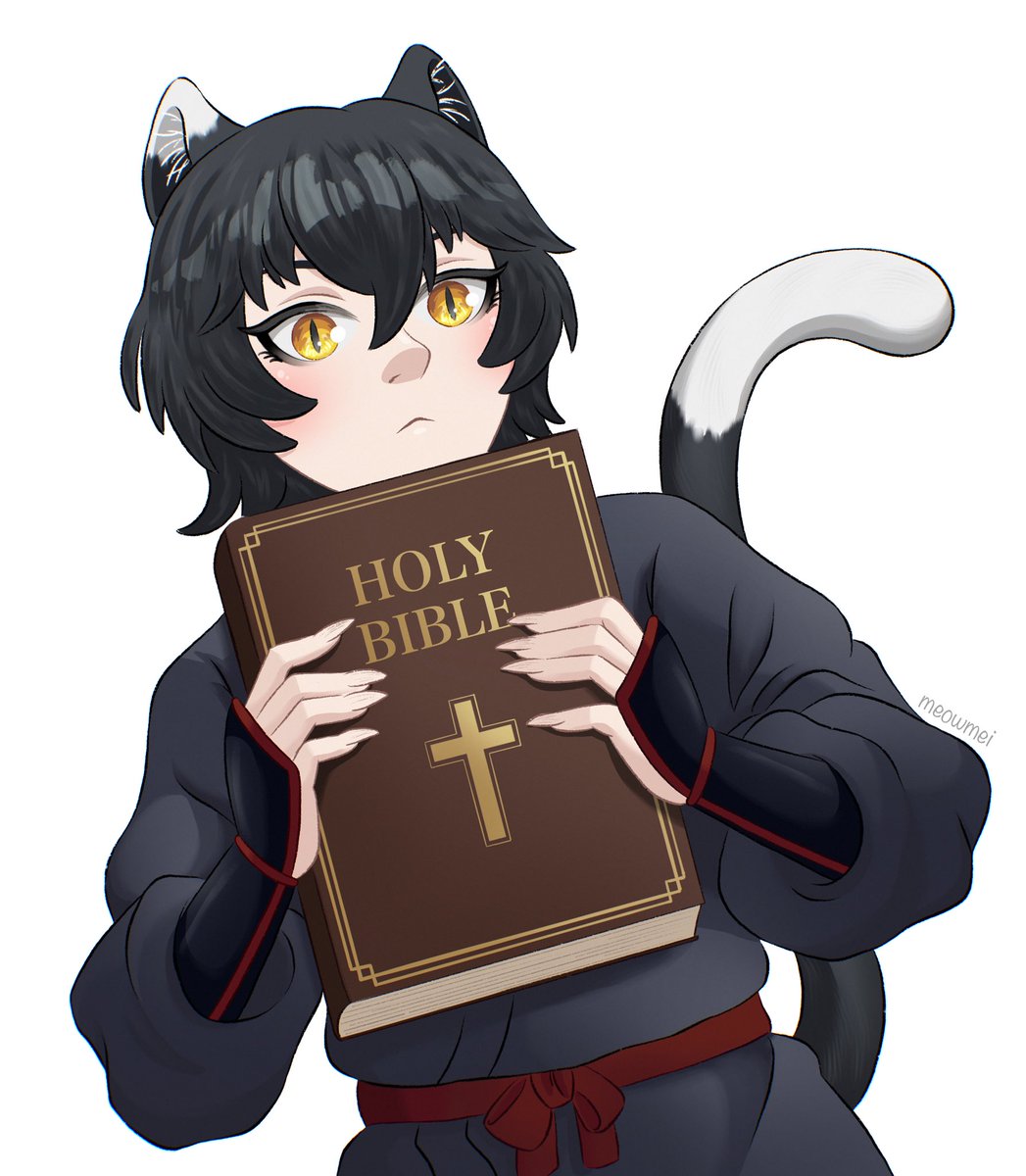 meowmei🐾 tweet media