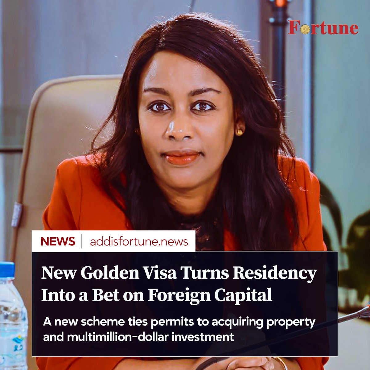 addis_fortune's tweet image. At the newly inaugurated headquarters on Beyene Aba Sebsib Street, Selamawit Dawit, the director general of the Immigration &amp;amp; Citizenship Services (ICS), announced a policy shift. #Golden #Visa #Ethiopia

Read more - shorturl.at/CrOkc