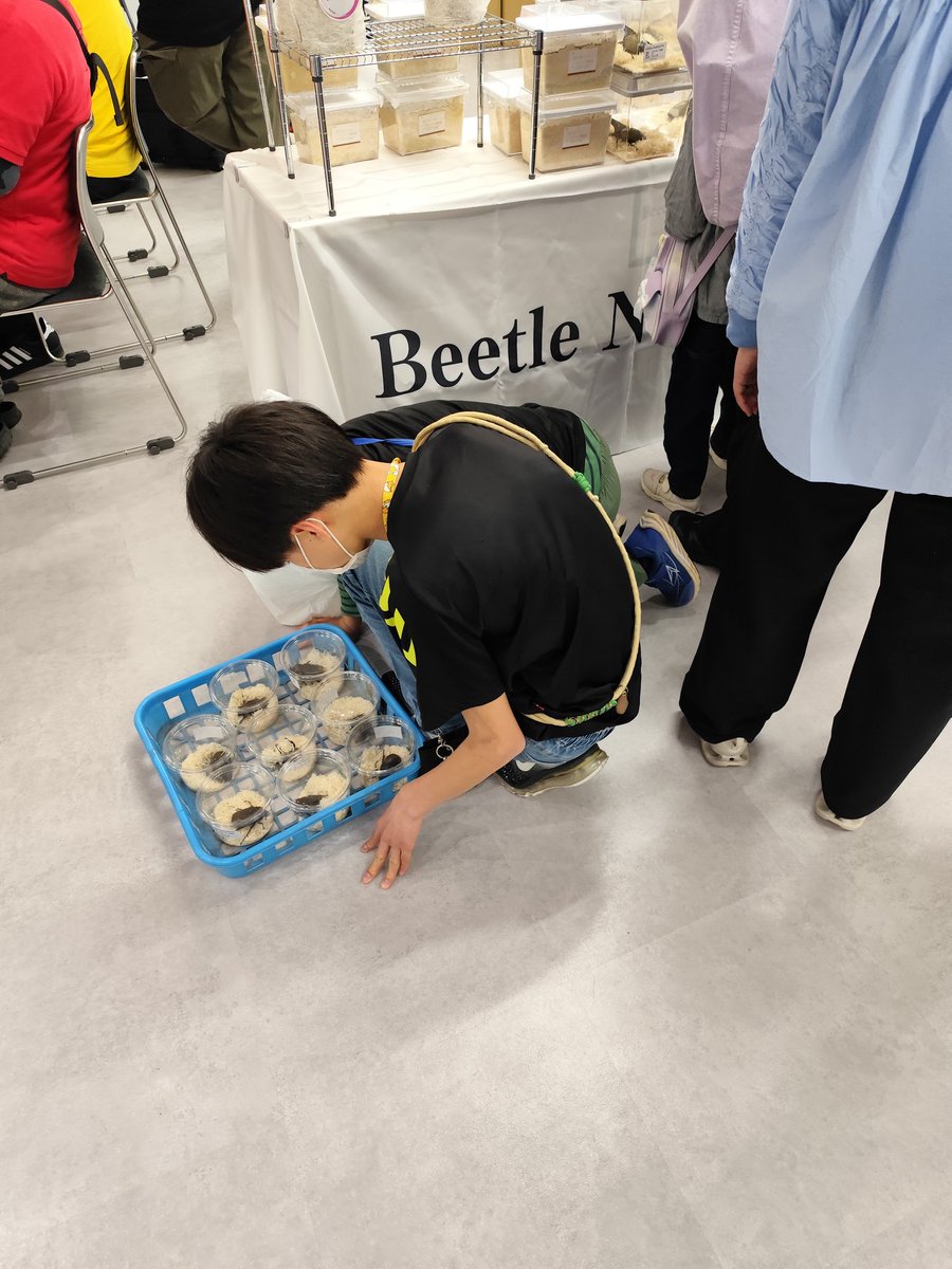 ReLEAF07's tweet photo. 【御礼】昨日はインセクトディスカバリーにご来場いただきありがとうございます。後半のどが潰れてしまって声が出せず、ご迷惑をおかけしました。

次回は7月、またお会いしょう！ https://t.co/BHOgQjlPuS