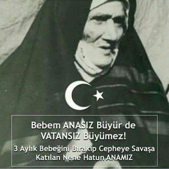 Kadir GÜNDOGDU tweet media