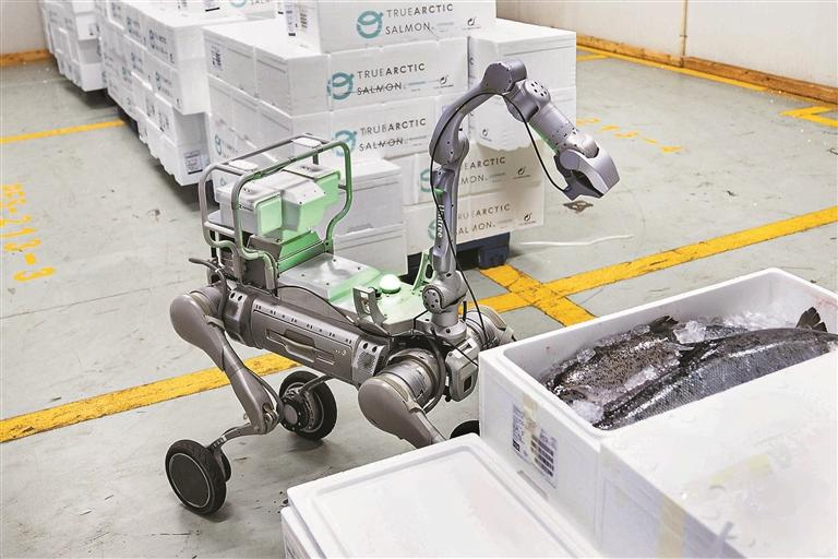 Shenzhen_style's tweet image. 【機器人關員上崗！深圳機場通關再提速】
深圳機場海關啟用智能查驗機器人、冷鏈查驗機器狗等裝備，與AGV搬運、機械臂等協同作業，實現全環節智能通關。貨物保障效率提升40%，出口貨最快當天發貨、全球次日達，以科技賦能大灣區空港樞紐建設。
#Shenzhen #SmartCustoms #Robot