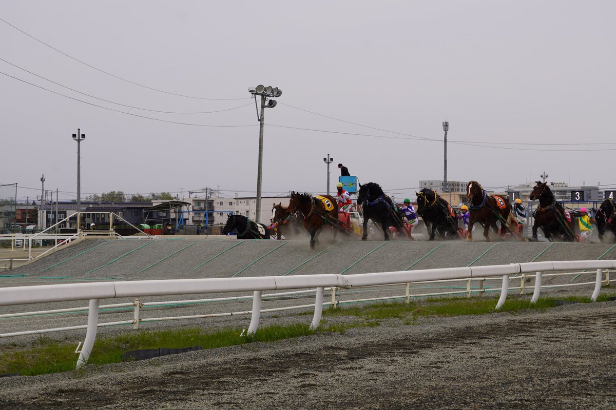 ぐっさん tweet media