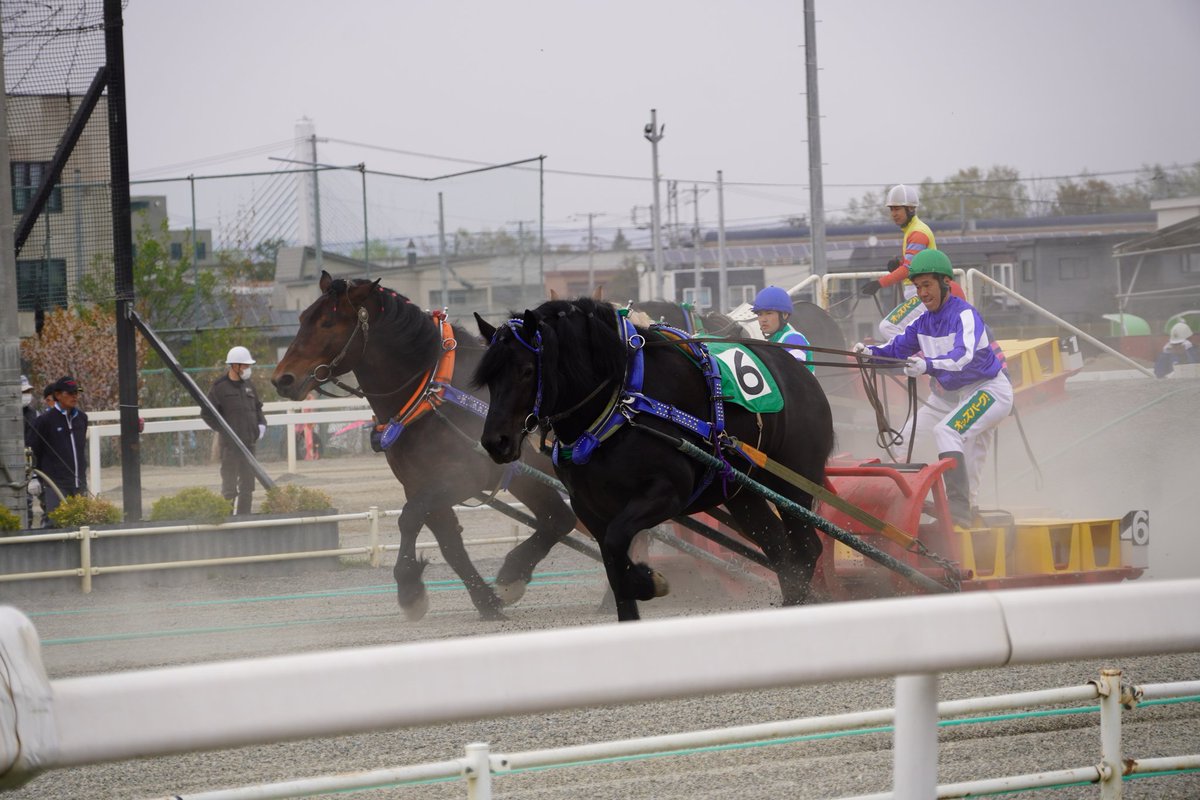 ぐっさん tweet media