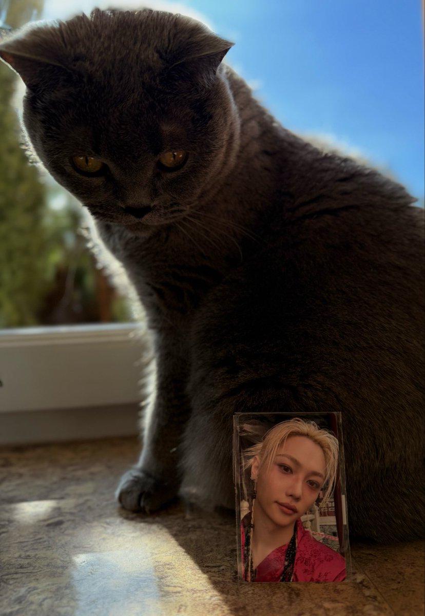 layla ‘ lix シᑉ³ saw my skz in 🇰🇷🩷 saw hannah💙 tweet media