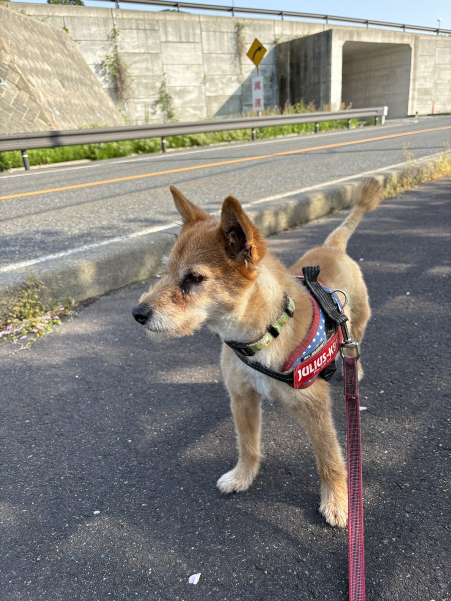 ΦイデΦ tweet media