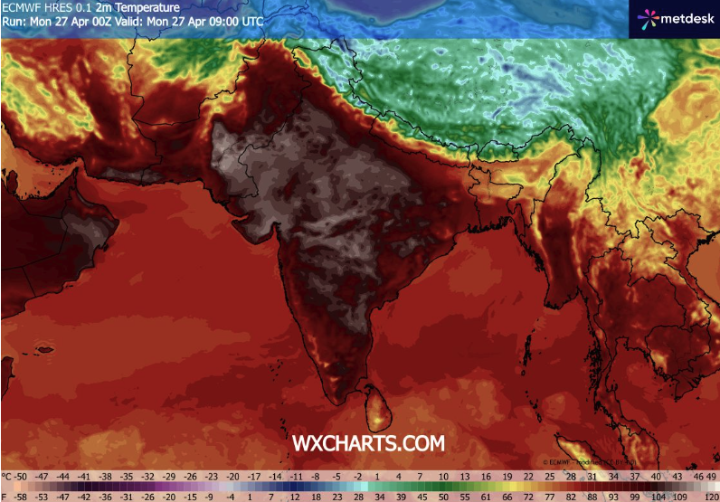 Peter Dynes tweet media