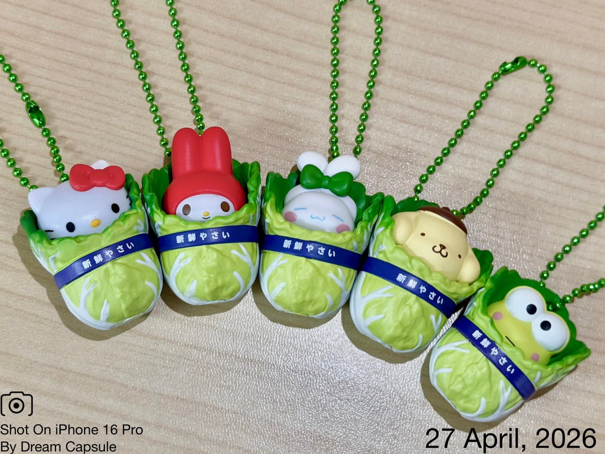 ドリームカプセルの中の人【公式】 tweet media