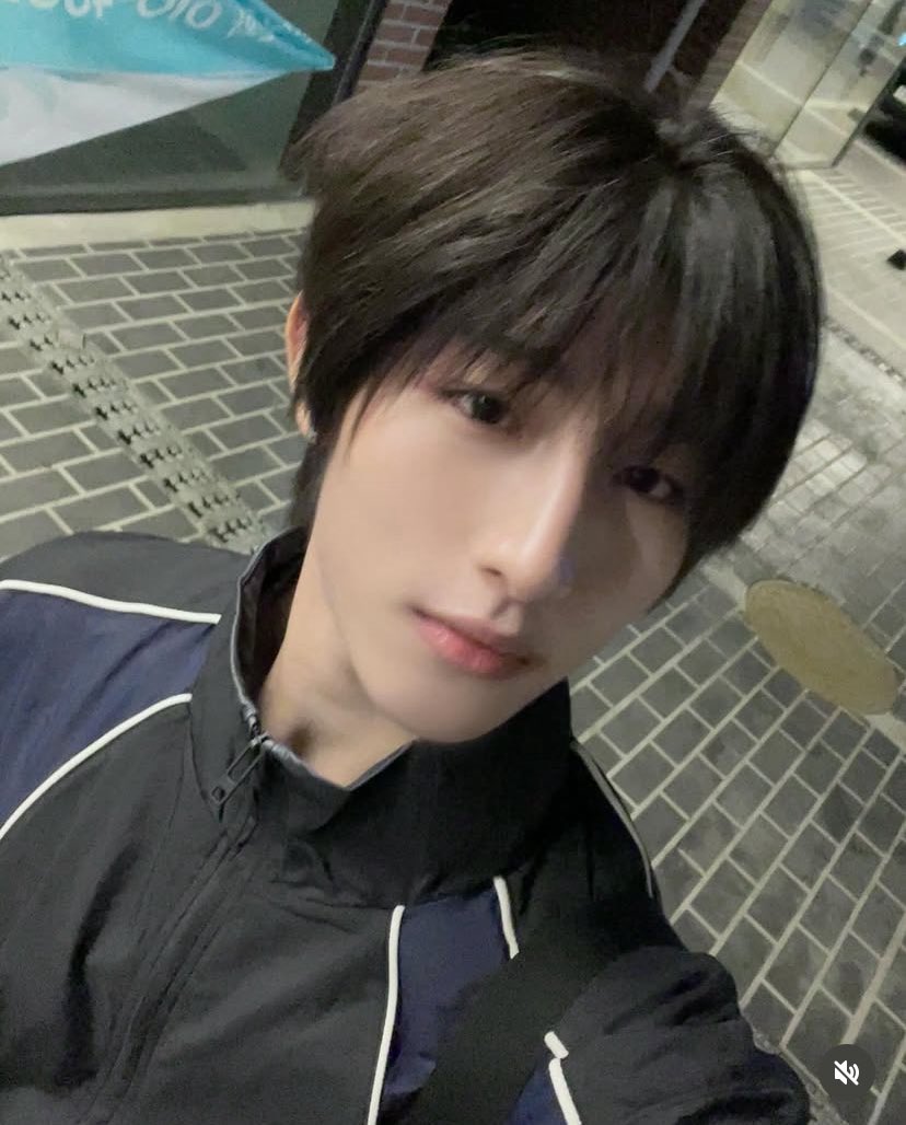 테디곰 tweet media