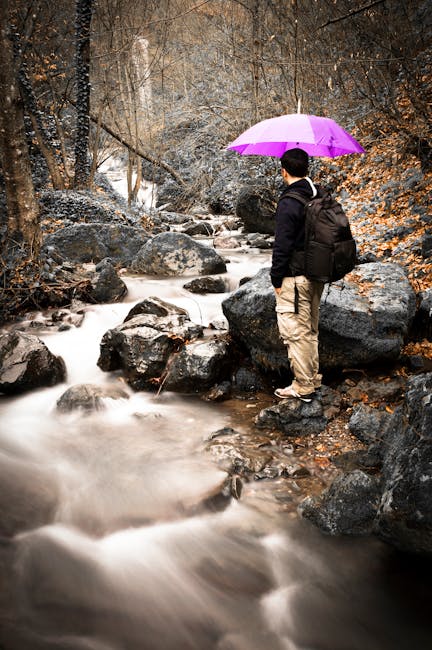 Elizabeth Rodriguez tweet media