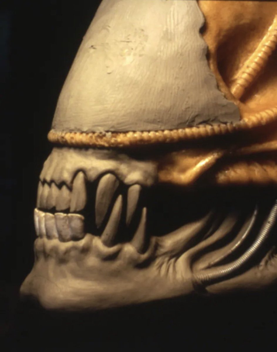 ぷちプレデター tweet media