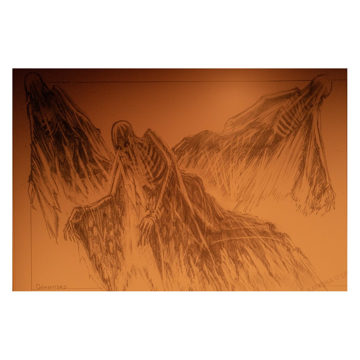 渡辺邦斗 tweet media