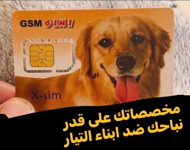 a_l_i_w9 tweet media