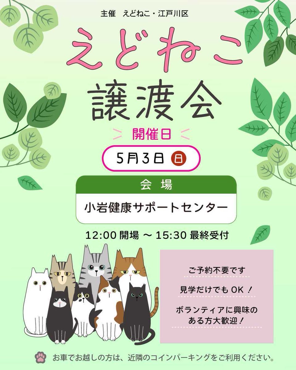 えどねこ tweet media