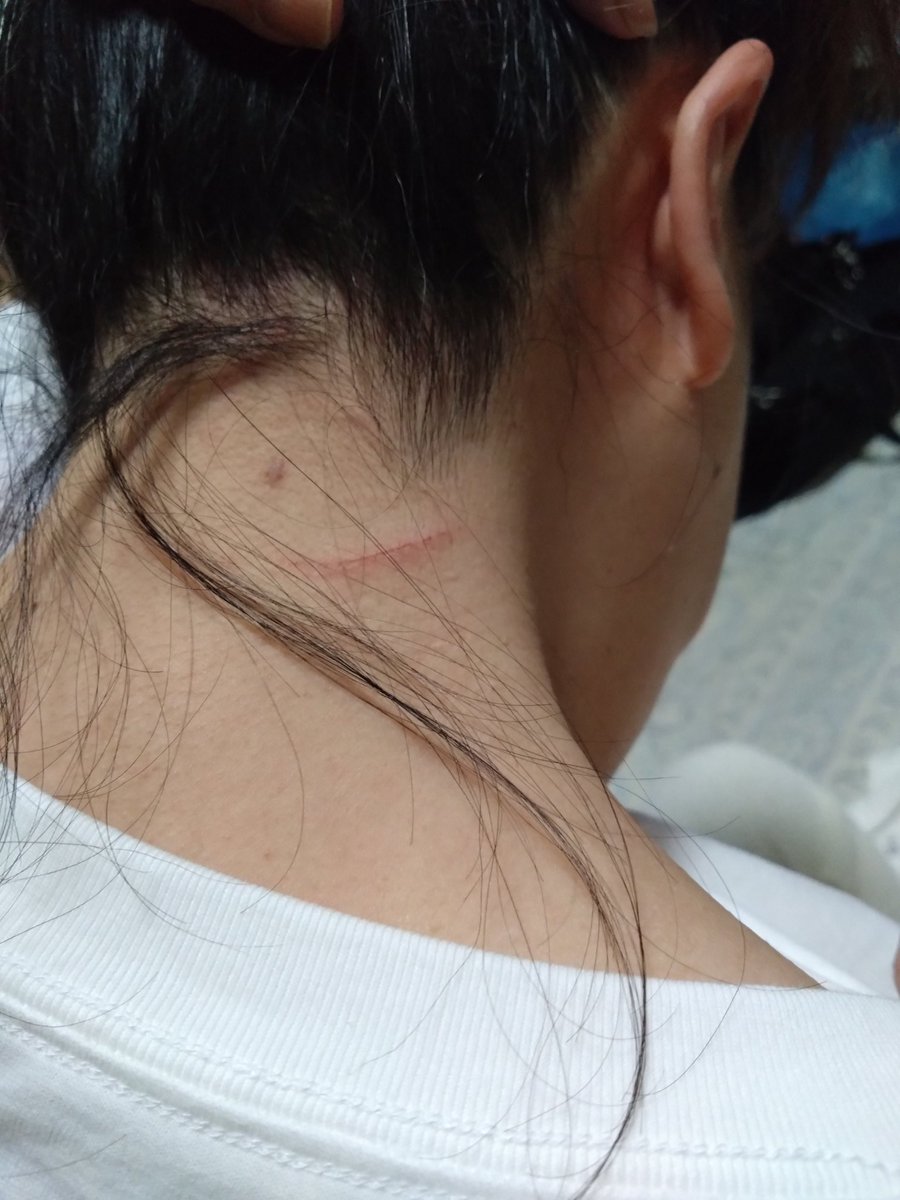 バニラのハコVanilla(о´∀`о) tweet media