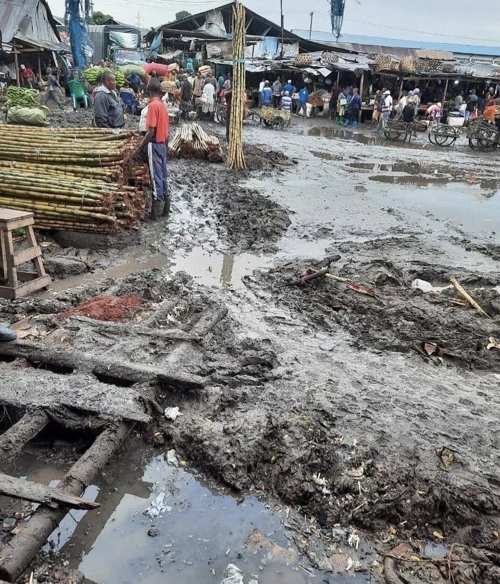 kasesco☆ tweet media