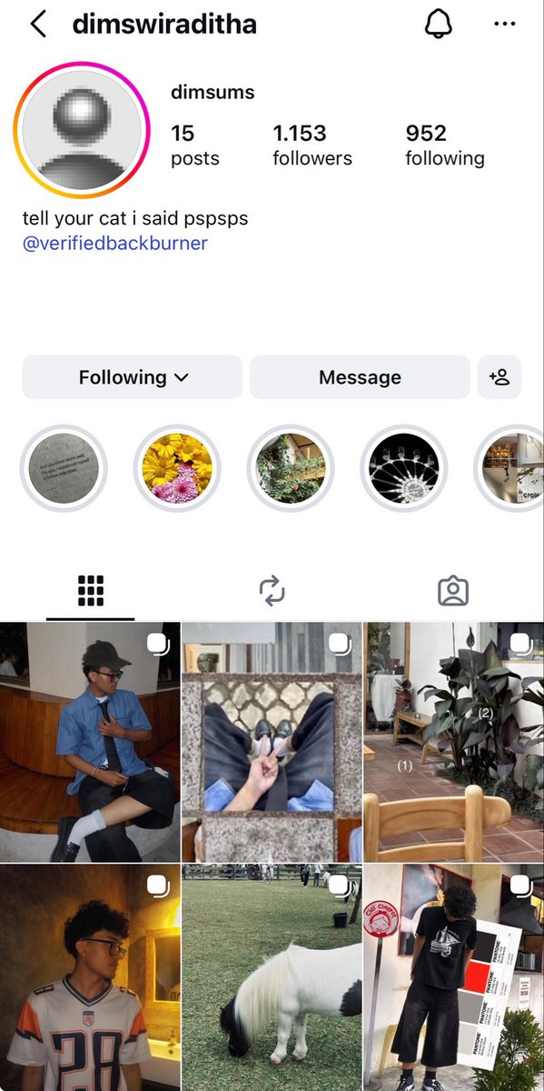 dimsums🍏²⁶ tweet media