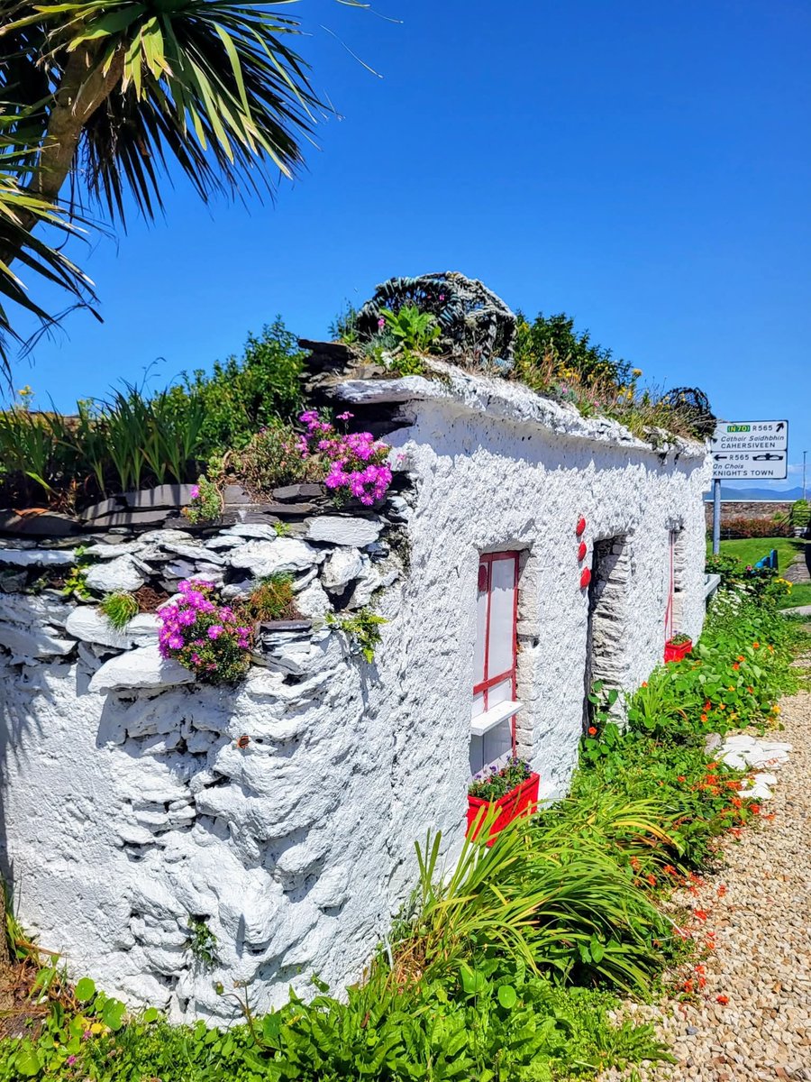 ThisIsIreland3's tweet image. A few buckets of whitewash &amp;amp; some nice flowers go a long way in dressing up a wreck of an old Irish cottage 💚🛖

📍Portmagee, County Kerry Ireland 🇮🇪

📸 Kevin P Raftery

#Kerry #Ireland #Portmagee #Cottage