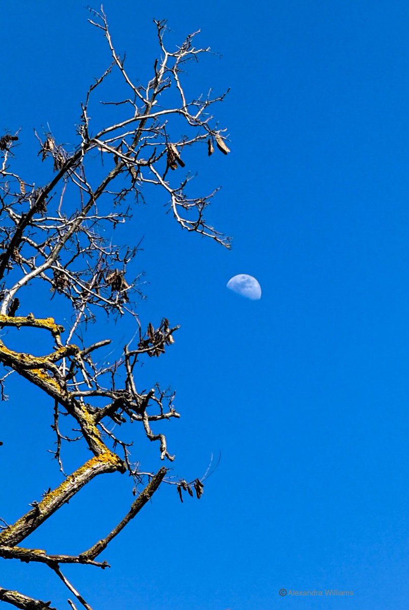 Nachokeys21's tweet image. Keep aiming for the moon

Be the tactician
of your own path

The right moment
is not found
It’s made 🤍

#vss365