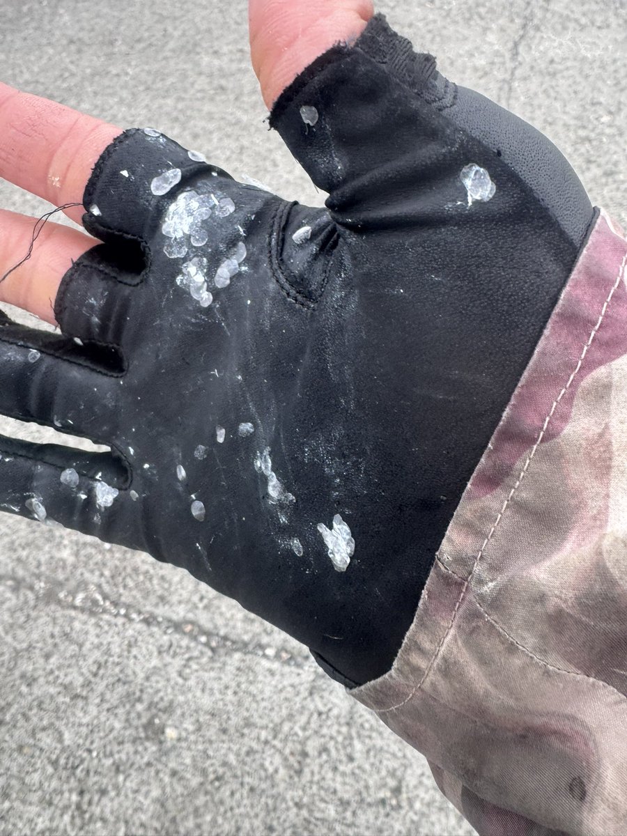 しょぺ🎣🦑🍺 tweet media