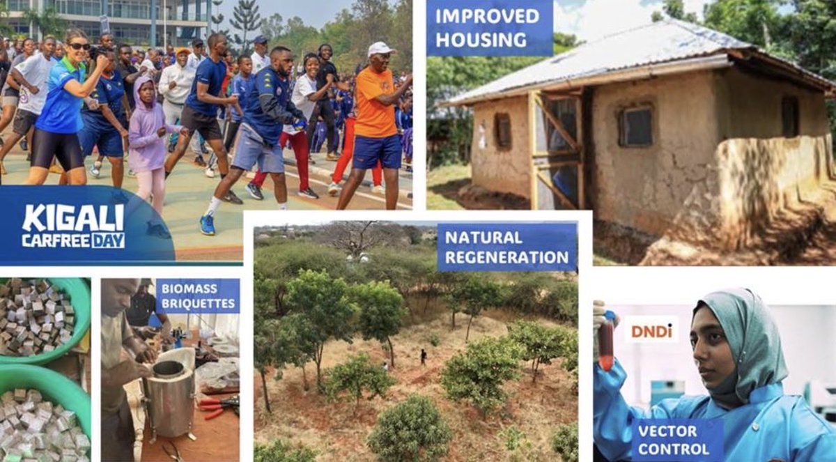 bornanyaoke's tweet image. Planetary Health demands bold, cross-sector solutions that protect people and the systems sustaining life
Today at #WHSR26 I’ll be in a panel with other experts sharing lessons on what works, for whom, at what cost and how to scale. #NTDs #OneHealth @DNDi 
🗓 Apr 27  5–6:30pm CR9