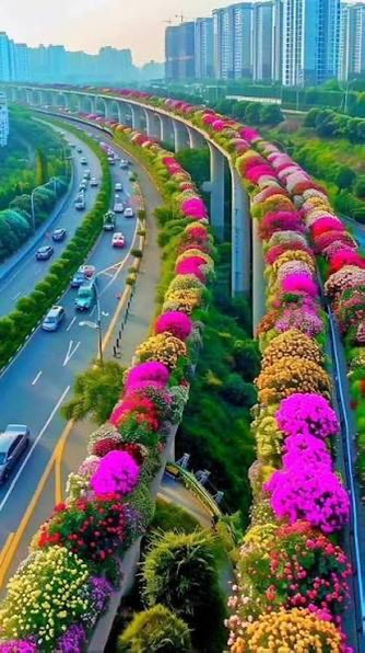 arac433's tweet photo. هذا من الآثار (غير المباشرة ) للإزدحام ‼️

حيث أن لذلك تأثير مباشر على إنتاجية الموظف وتعلم الطلاب والنشاط الإقتصادي والإستثماري ..
والحياة الاجتماعية بشكل عام ..

وهذا يحُتِّمُ التفكير بعدد من الحلول منها:

١- بدء حركة عمال وموظفي الشركات بمالايزيد عن الساعة ٥ صباحاً بحيث يقل الإزدحام عند تحرك طلاب الجامعات والمدارس.

٢-إلزام الشركات والمقاولين والأسواق التجارية بنقل عمالتهم بواسطة حافلات وبحيث لايتحرك كل عامل أو موظف بسيارة لوحده.

٣-تحديد المسار الأيسر من الطرق للحافلات والسيارات التي تحمل ٣ ركاب أو أكثر.

٤- عدم تحرك الشاحنات وسيارات النقل الخاص في ساعات الذروة .

٥- منع التوقف في وسط الطريق أثناء الحوادث وخاصةً البسيطة والإكتفاء بتصوير الحادث بتطبيق(نجم)

٦- العمل عن بعد كلما أمكن ذلك .

٧- الدراسة عن بعد خاصة للجامعات حيث أن الدراسة الحضورية تستهلك جهداً ومسافات ووقتاً مهدراً يقلل من التركيز والصفاء الذهني الذي يوجد في المحاضرة عن بعد(التعليم الجامعي ليس تفاعلياً كالتعليم الإبتدائي والعام).

٨- زيادة جاذبية وفاعلية النقل العام بحيث يكون أكثر تفاعلا مع الحياة العامة ومن ذلك  وجود حافلات صغيرة تنقل من الأحياء لمحطات النقل العام والمترو ..
وإيجاد حافلات وعربات مترو أكثر راحة وترفيها.مع تخصيص مسارات سريعة للنقل العام..

٩- تغطية وتظليل التقاطعات التي تزداد حرارة مع لهيب الصيف الحار.

١٠-زيادة ممرات وجسور المشاة ونقاط الوصول الشامل والتشجير ودهان الطرق الإسفلتية السىوداء والتي تقلل من شحوب الشوارع ولهيب الحرارة.
