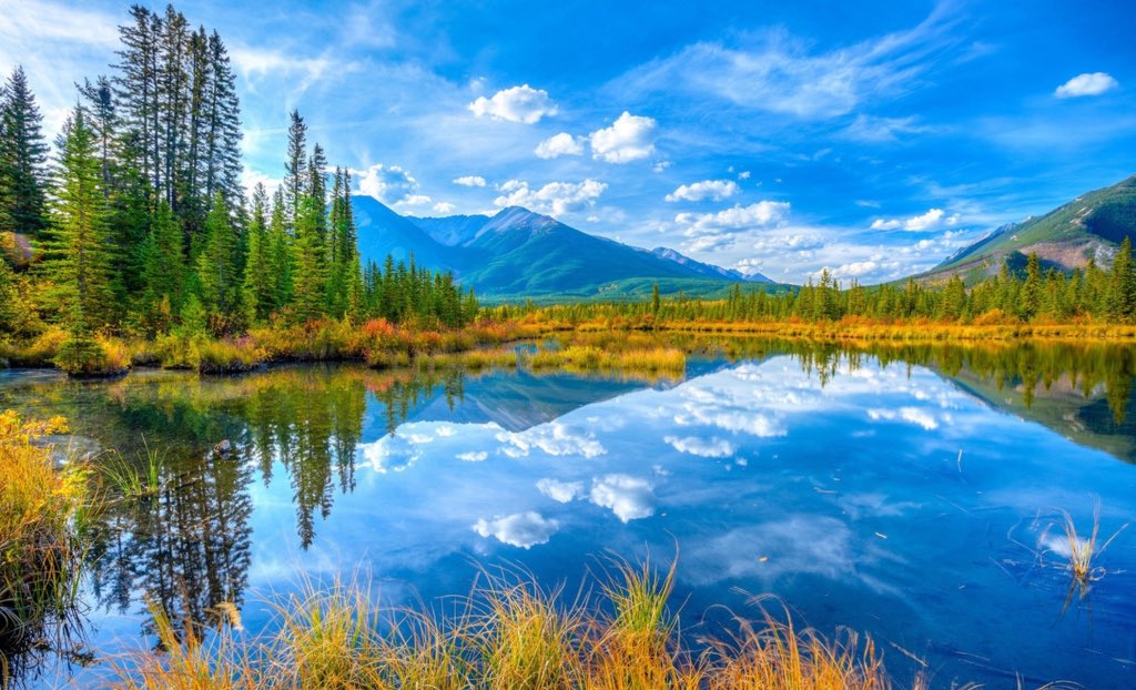 TonyMarrese's tweet image. Be loving, be kind don’t let social media rot your mind.
🌹#god lives inside us.