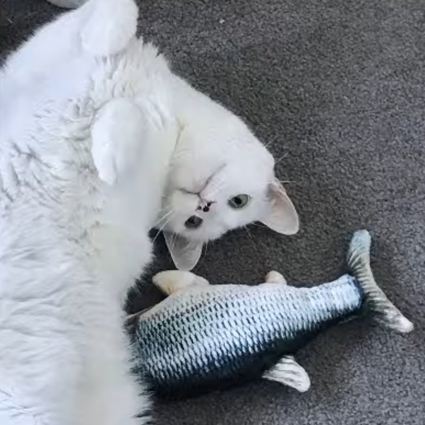 amandaaa🍡 【BHVE】 tweet media