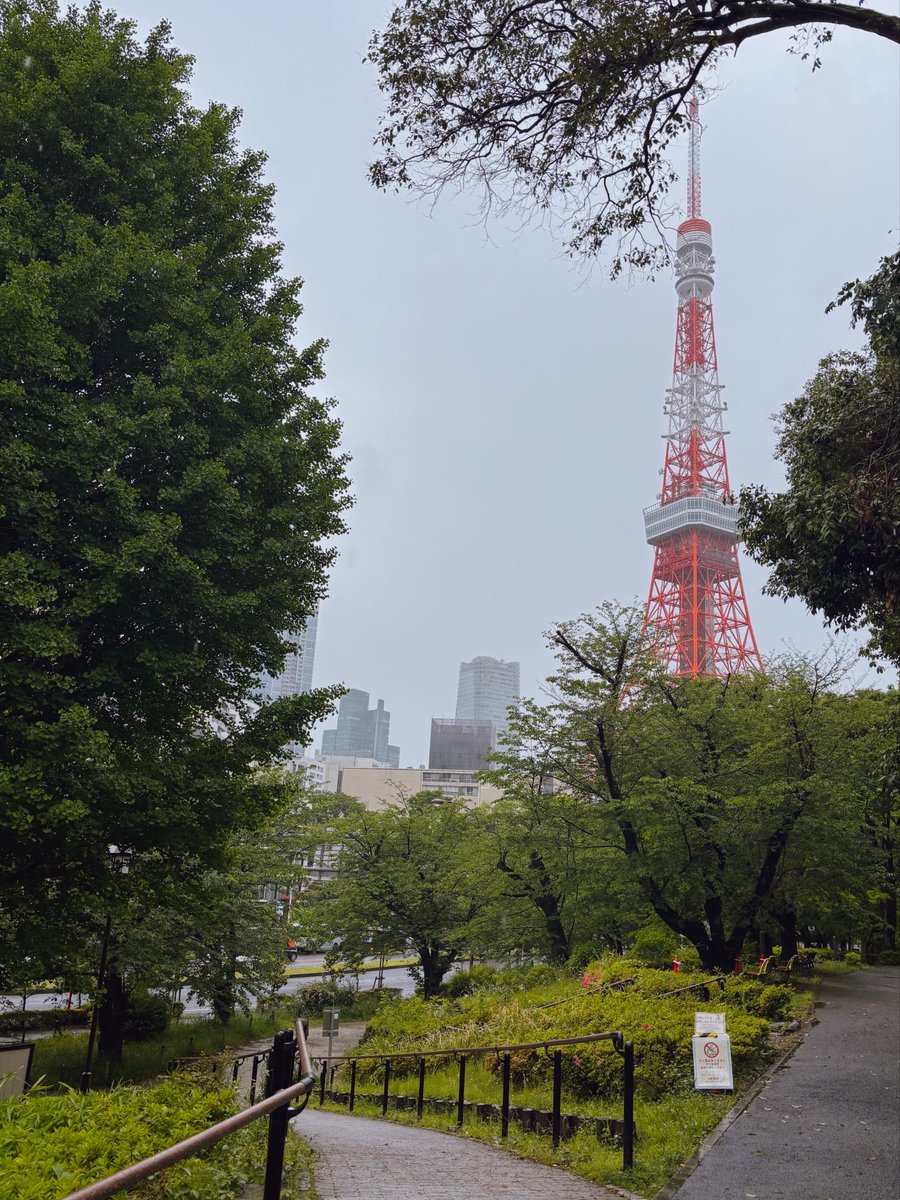 었어요~ 드뎌 찾았어요!!
폭우에 도쿄타워를 한 시간 헤멨⑉･̆･̆⑉