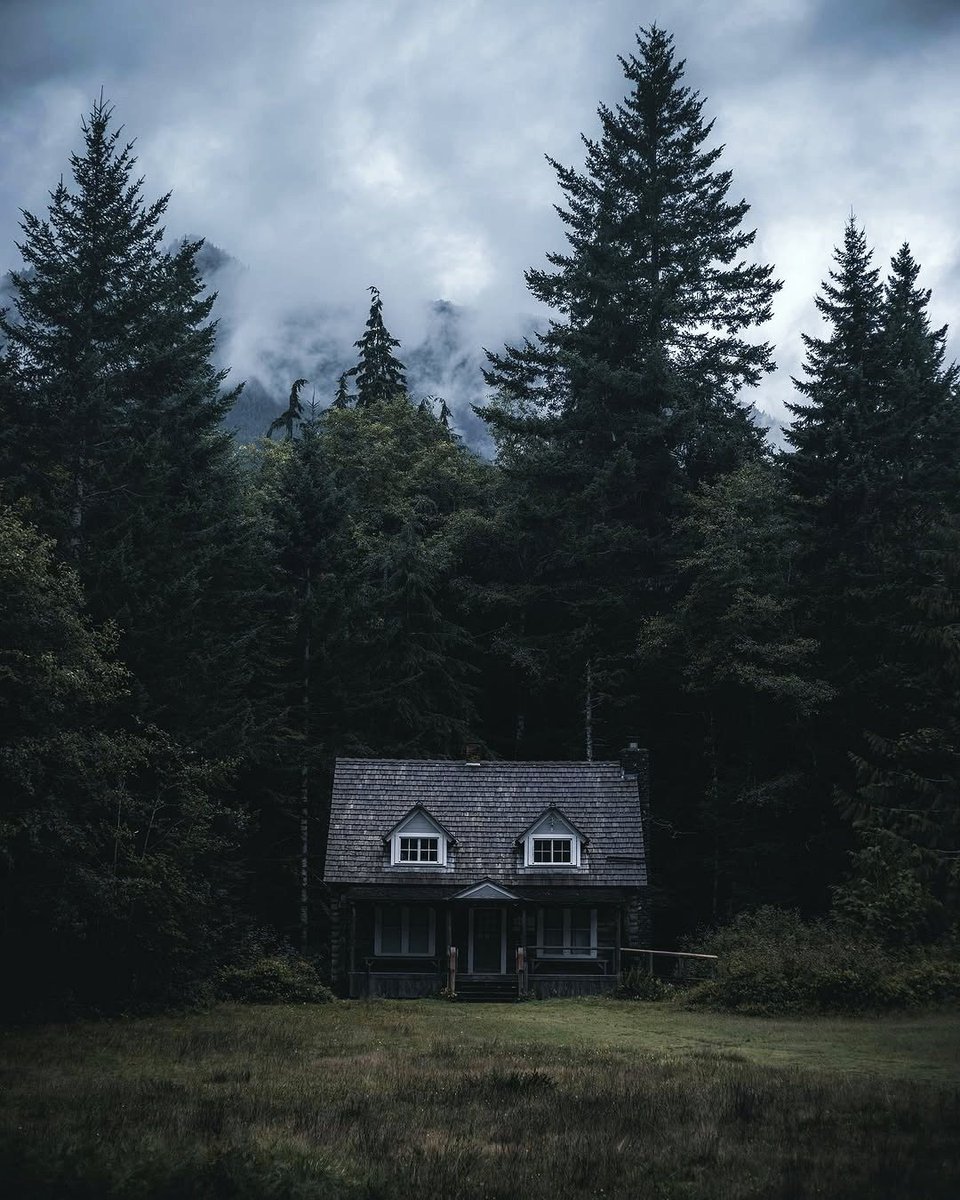 𝘄𝗮𝗻𝗱𝗲𝗿𝘁𝗿𝗮𝘃𝗲𝗹𝘀 tweet media