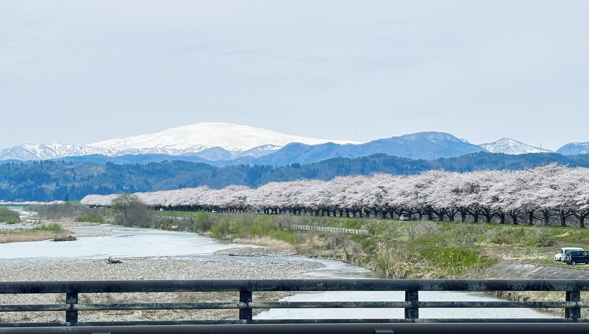 温井 むした @山形VTuber tweet media