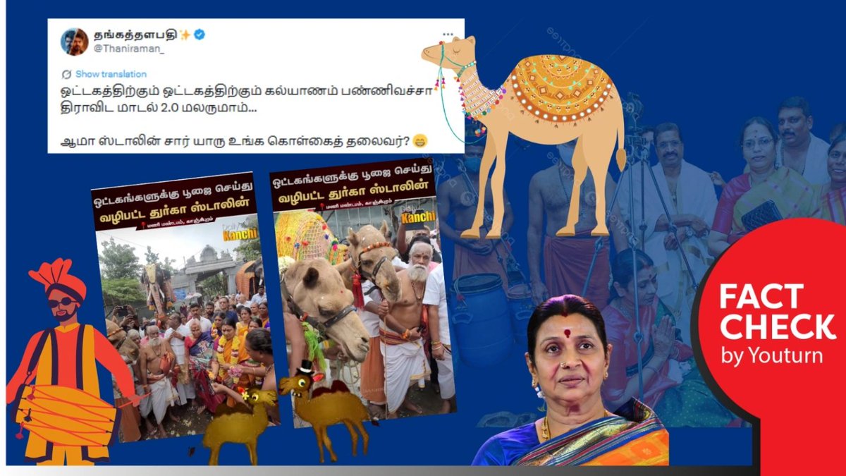 youturn_in's tweet image. திமுக வெற்றி பெற ஒட்டகத்திற்கு திருமணம் செய்து வைத்த துர்கா ஸ்டாலின் என்று பரவும் வீடியோ! உண்மை என்ன?  

share.youturn.in/factcheck/durg…

#Youturn | #Factcheck | #DMK