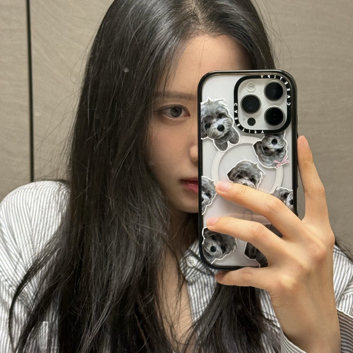 보나 아카이브 tweet media