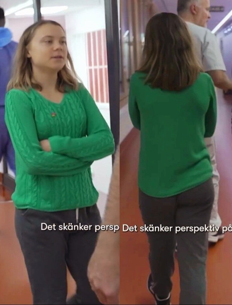 greta thunberg fan tweet media