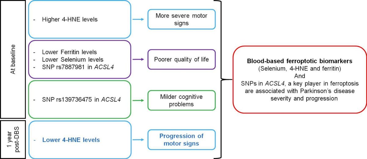 ScienceofPD's tweet image. Researchers report an association between 4-HNE levels &amp;amp; the progression of motor disability in advanced #Parkinsons; They also provide multiple lines of evidence favoring a role for ferroptosis in PD progression
sciencedirect.com/science/articl…