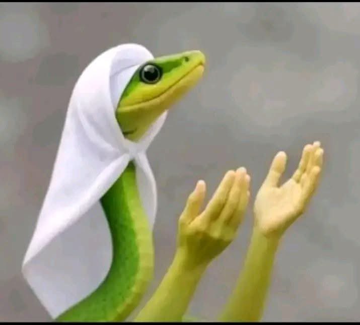 Black Panther 🐈‍⬛ tweet media