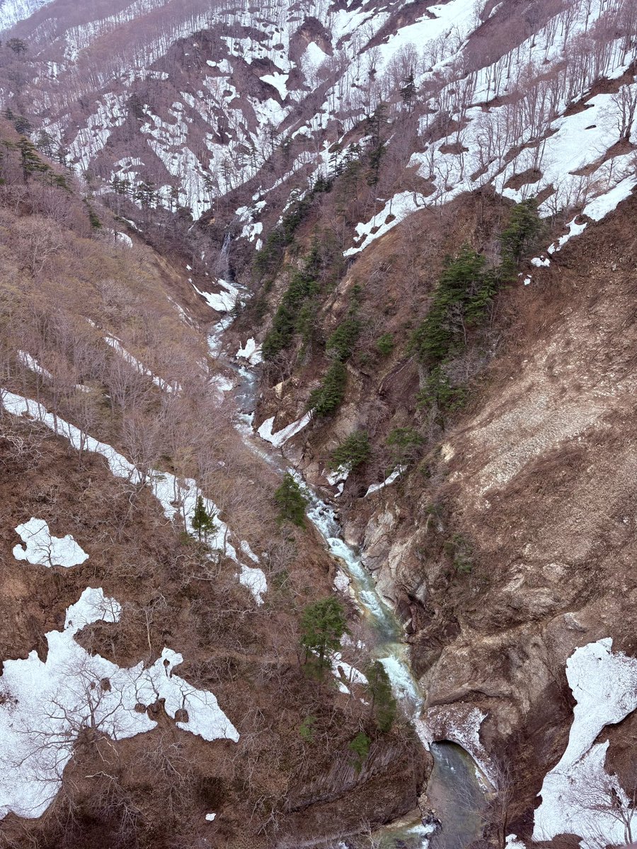 くら❂ tweet media