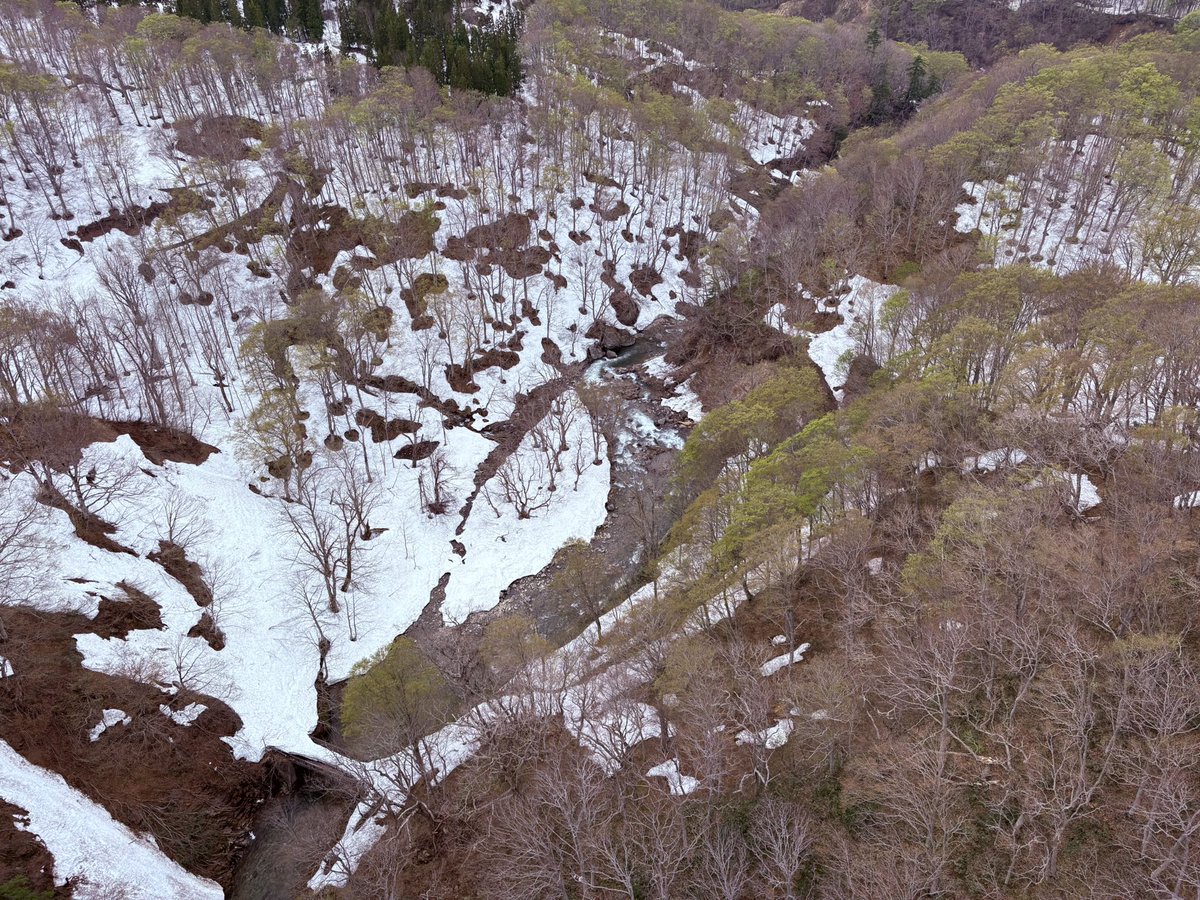 くら❂ tweet media